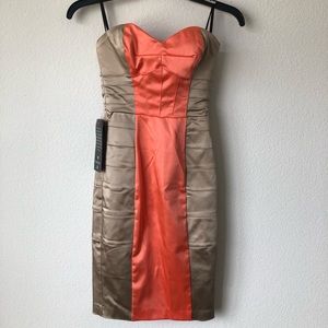 Brand New Bebe Sexy Nomad Strapless Dress